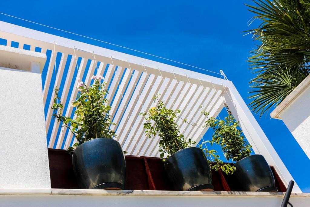 Vila The Birds Nest Alvor Pokoj fotografie